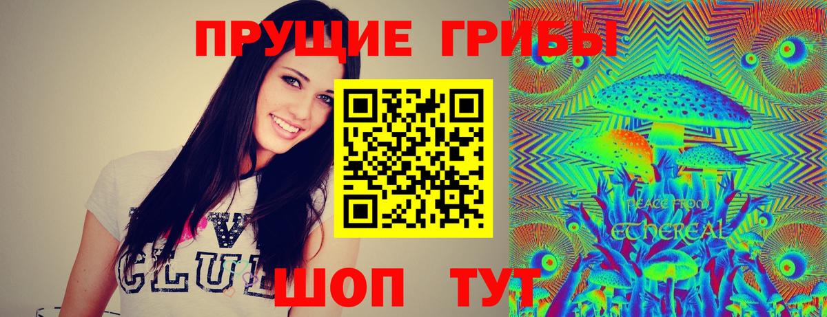 Псилоцибиновые грибы Psilocybe Мариинск