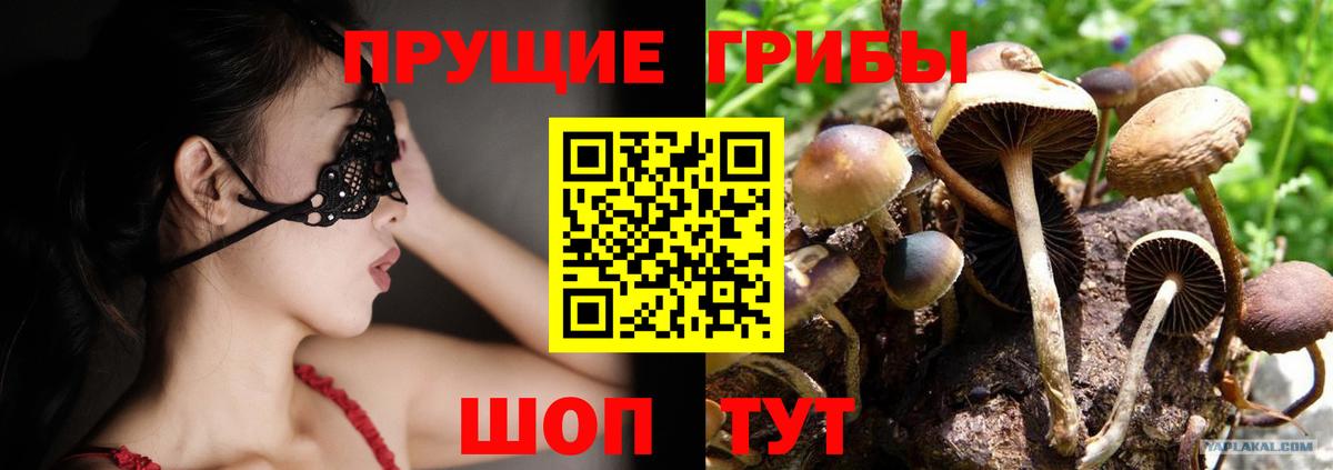 Галлюциногенные грибы прущие грибы  Вход с VPN  Галлюциногенные грибы мицелий  Мариинск 